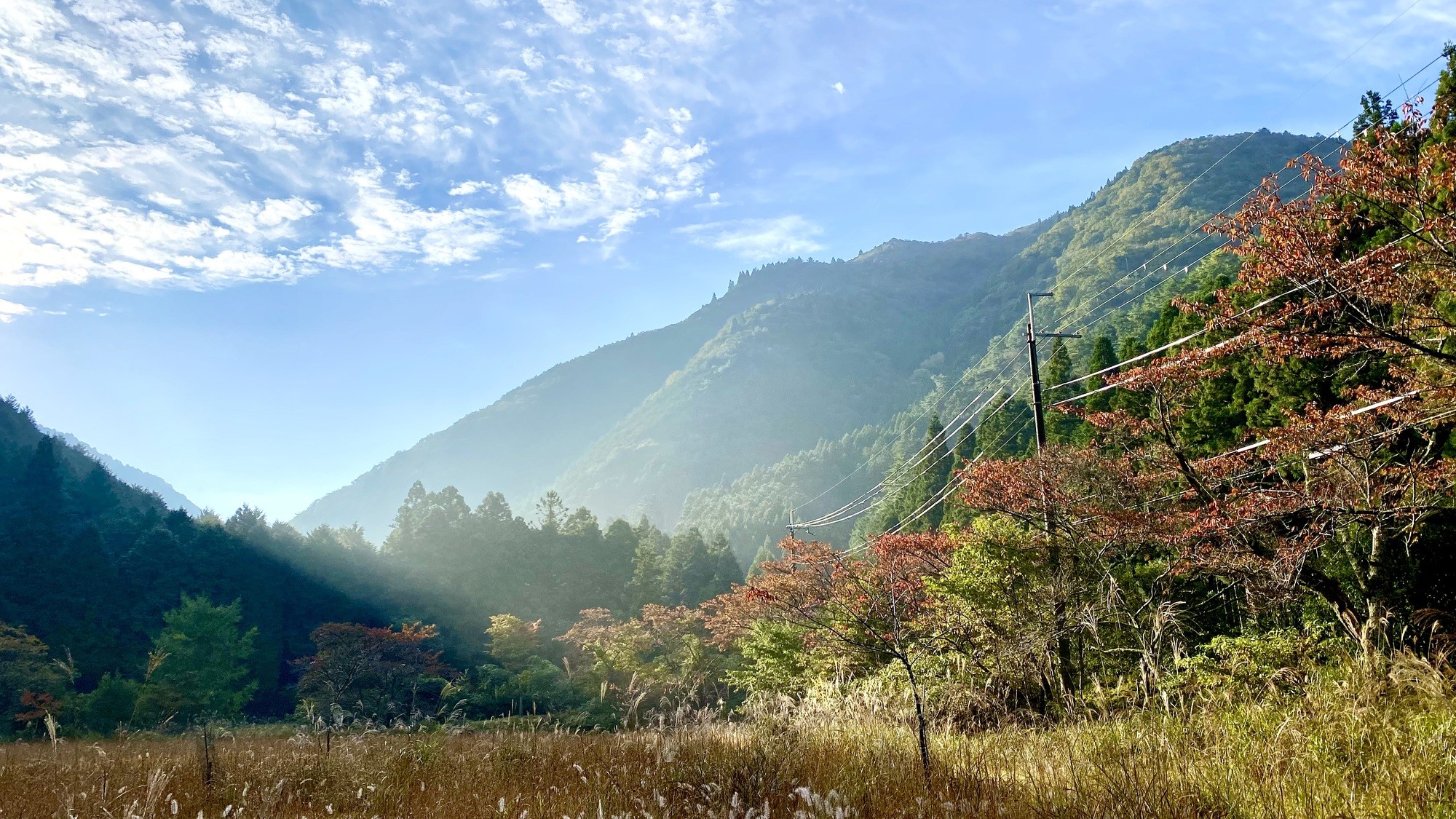 施設周辺の自然