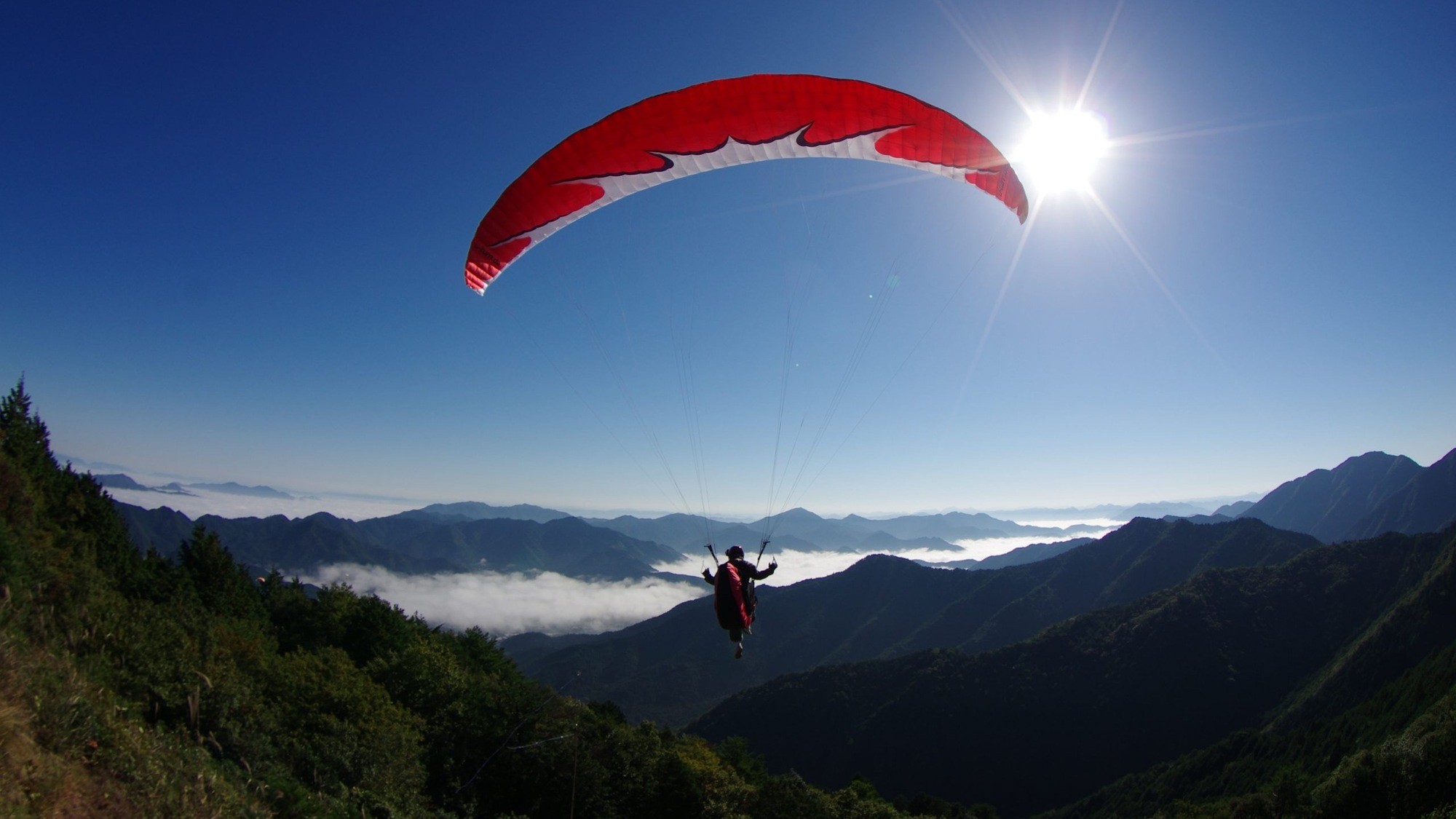 パラグライダー