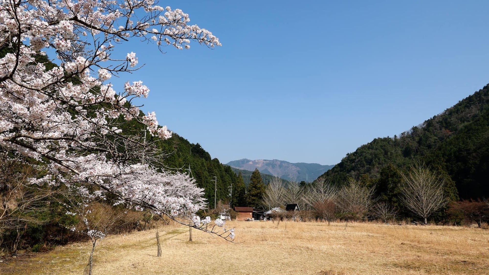 施設周辺の春の景色
