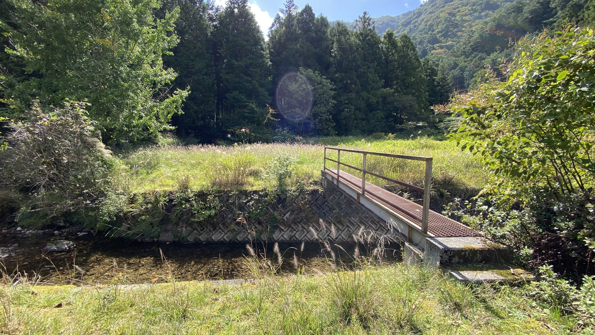 施設周辺の自然