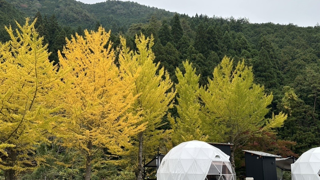 紅葉とドームテント