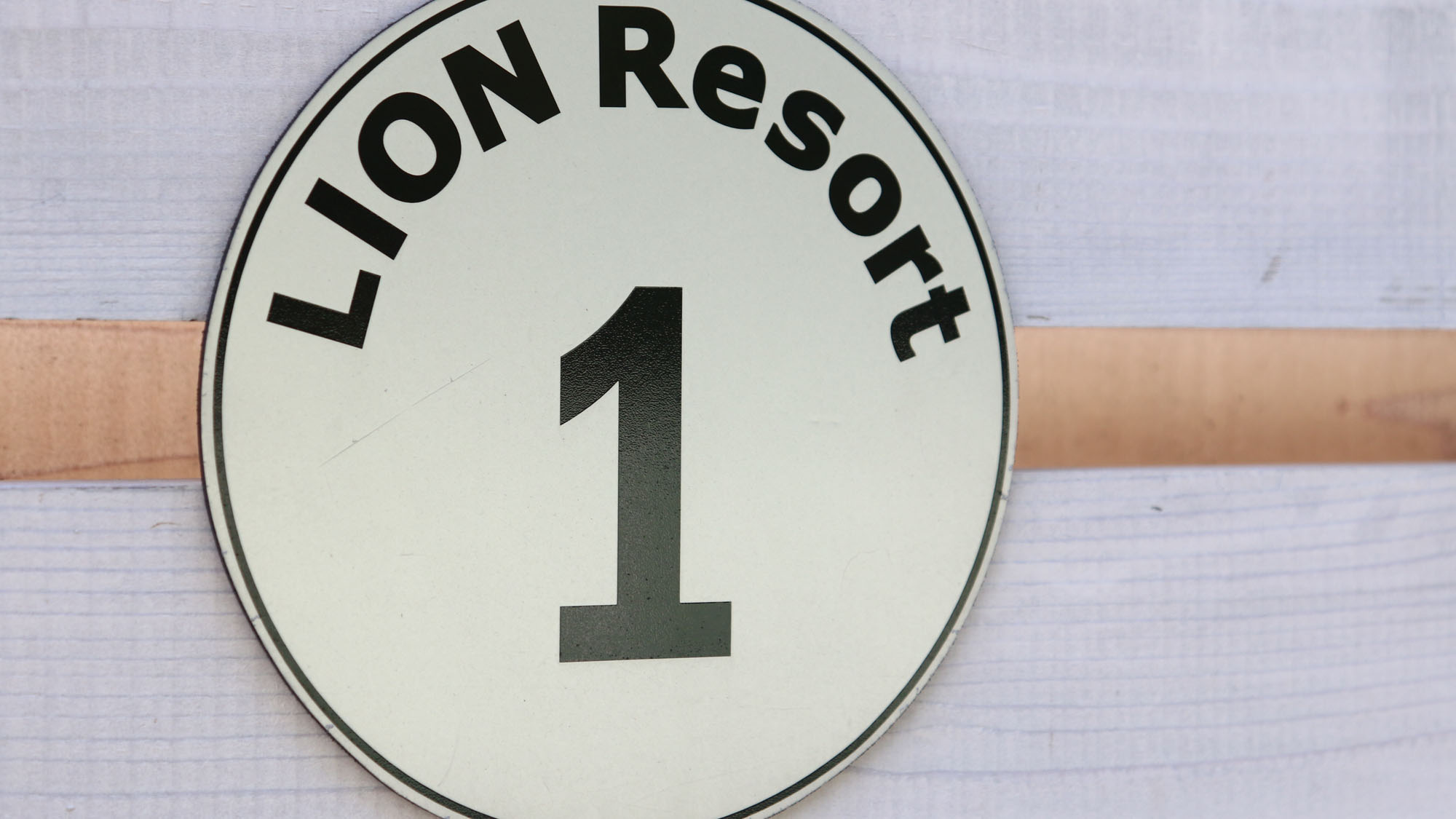 LION Cafe & Resort｜ここから始まる、海辺のリゾート体験*