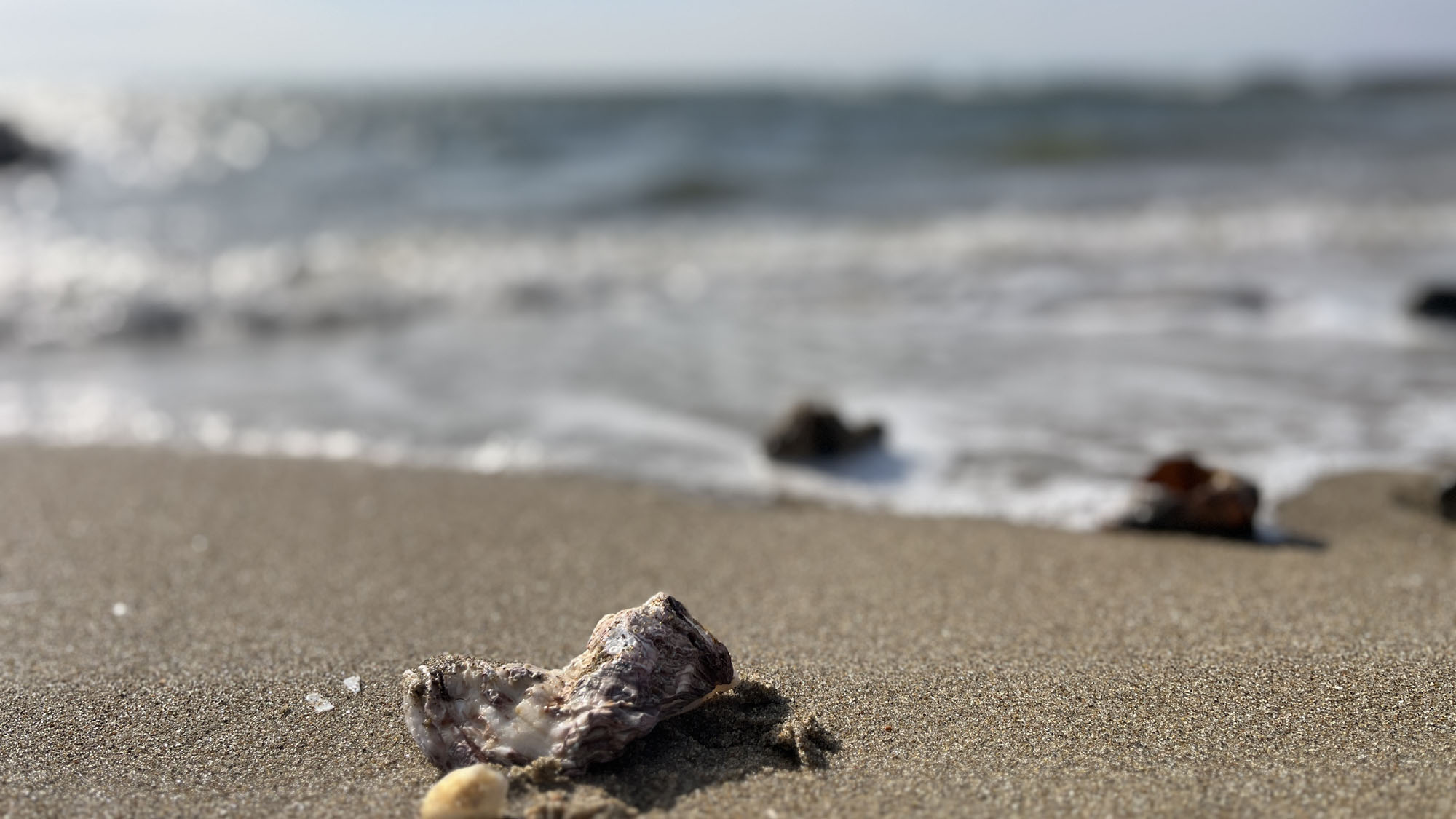 海風と波音に包まれる、穏やかな海辺のひととき*