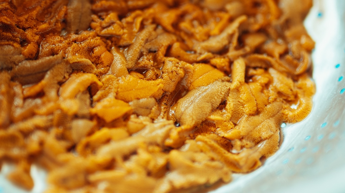 紫ウニは生のまま