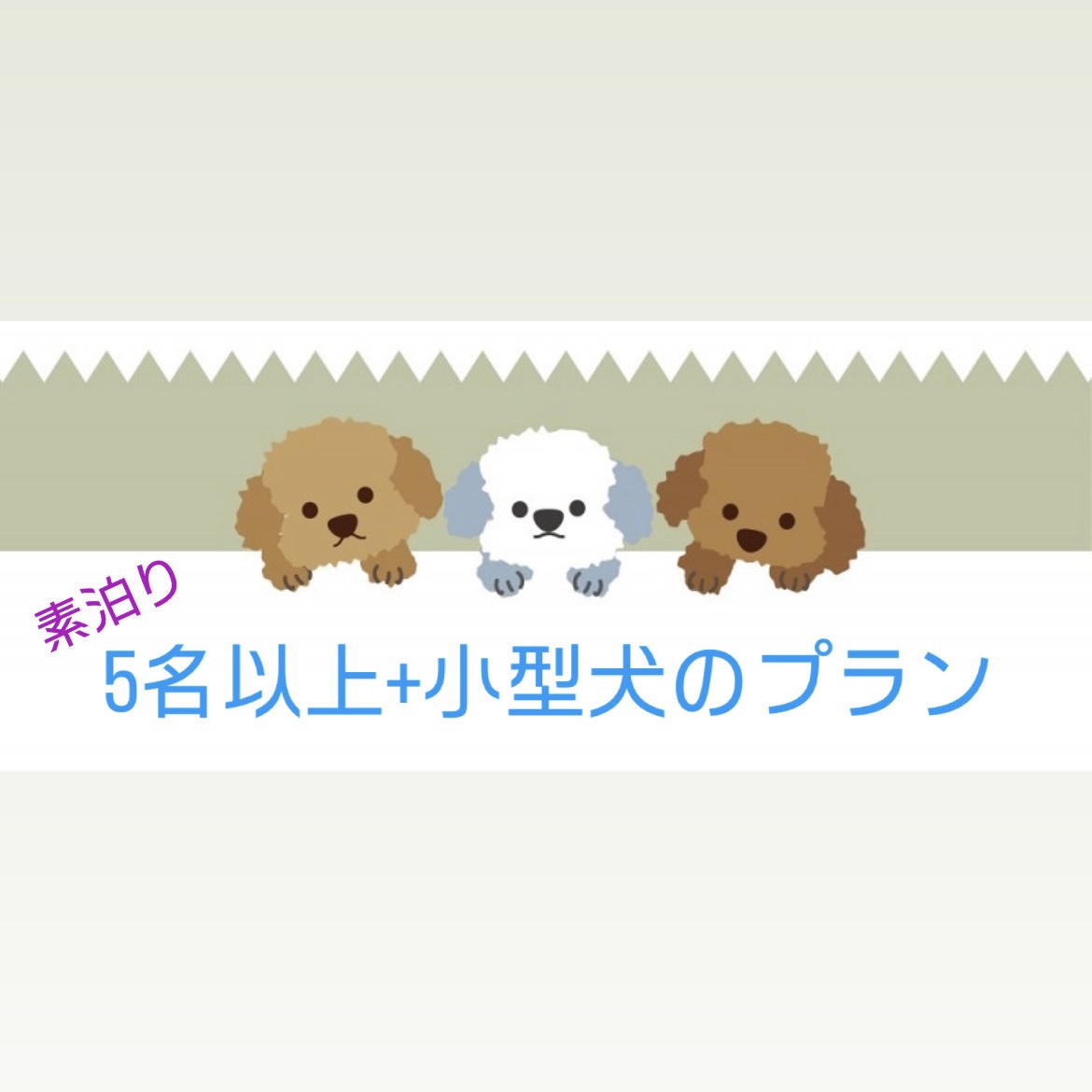 ☆彡小型犬と一緒にお泊りプラン☆彡　和室１７畳　５名以上＋小型犬