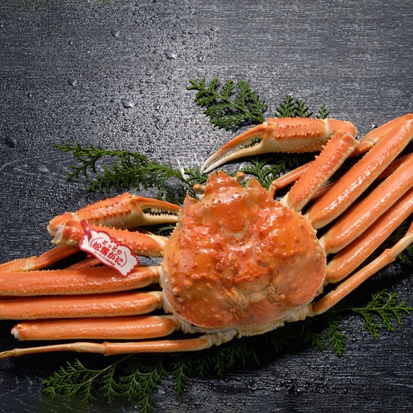 【夕食付】≪松葉ガニのフルコース≫　ペットとゆっくり寛ぐ贅沢別荘　２月末まで