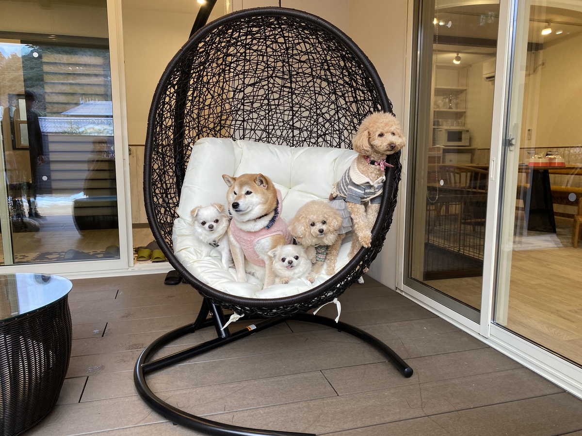 【夕食追加選択可】名物・餠しゃぶ＋蟹鍋セット【愛犬と過ごす山陰旅】ペットとゆっくり寛ぐ贅沢別荘 