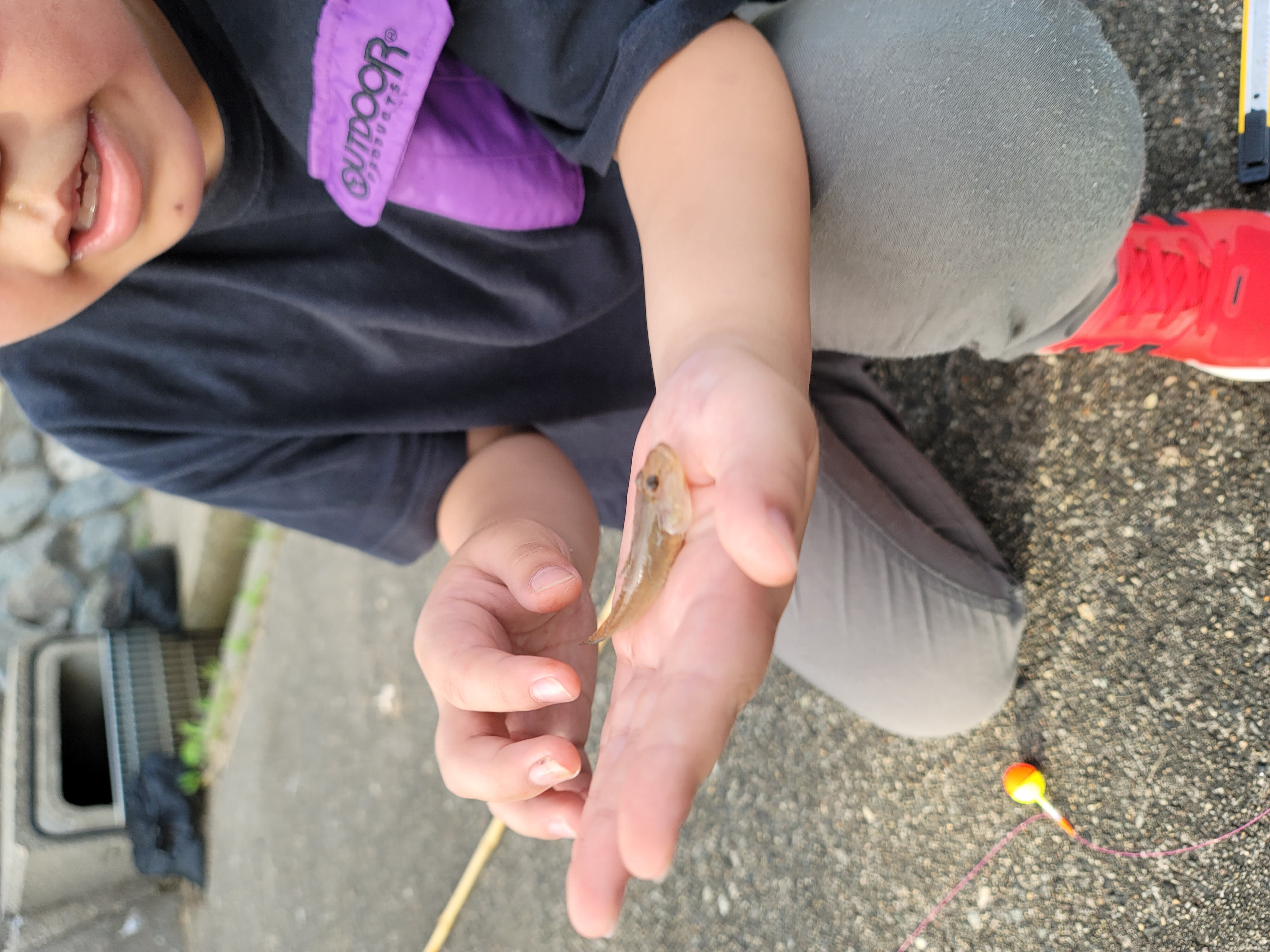 （無料）竹竿貸出し　宿の目の前で気軽に釣りが出来ます