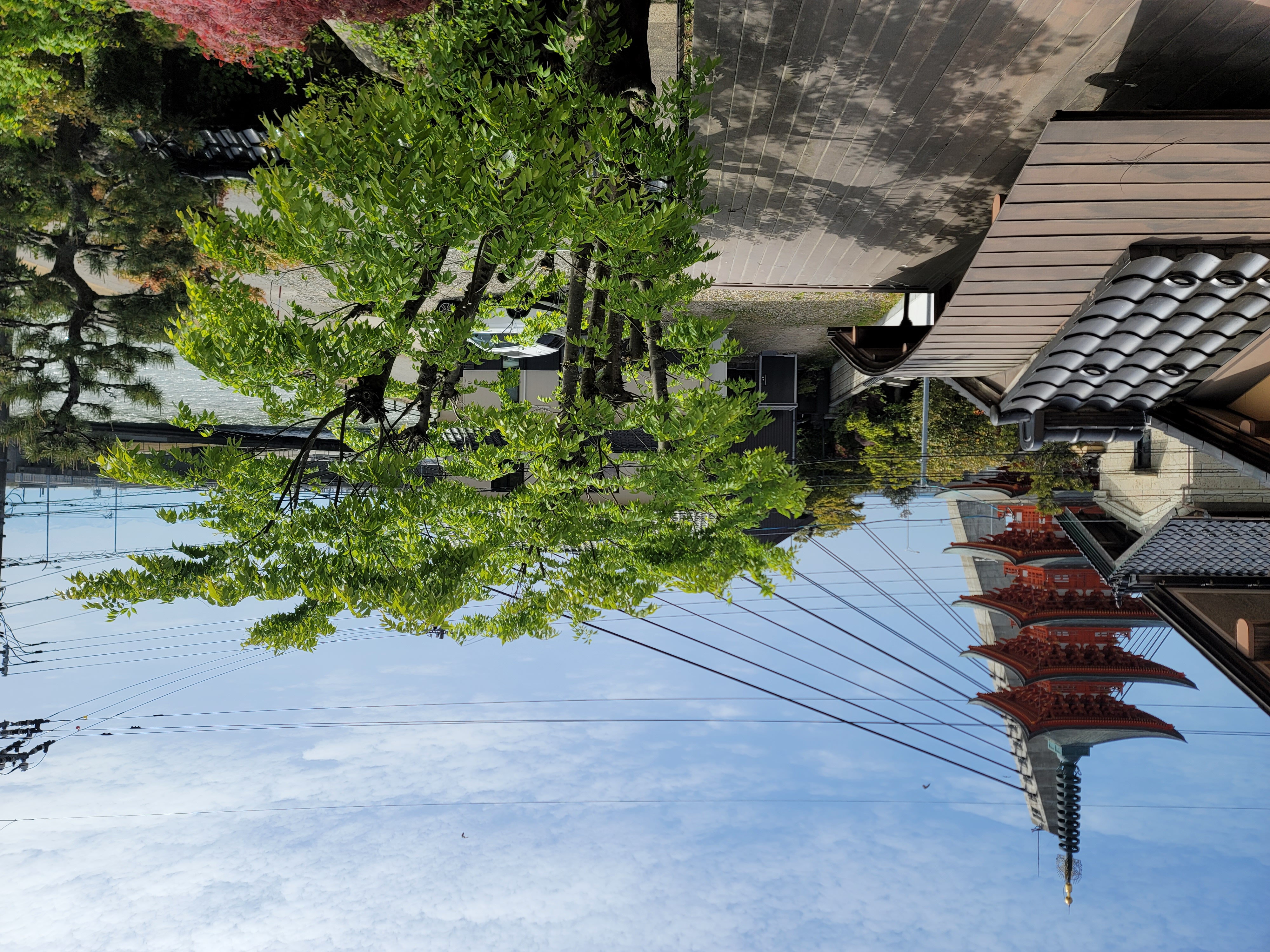客室：立山連峰からの風景