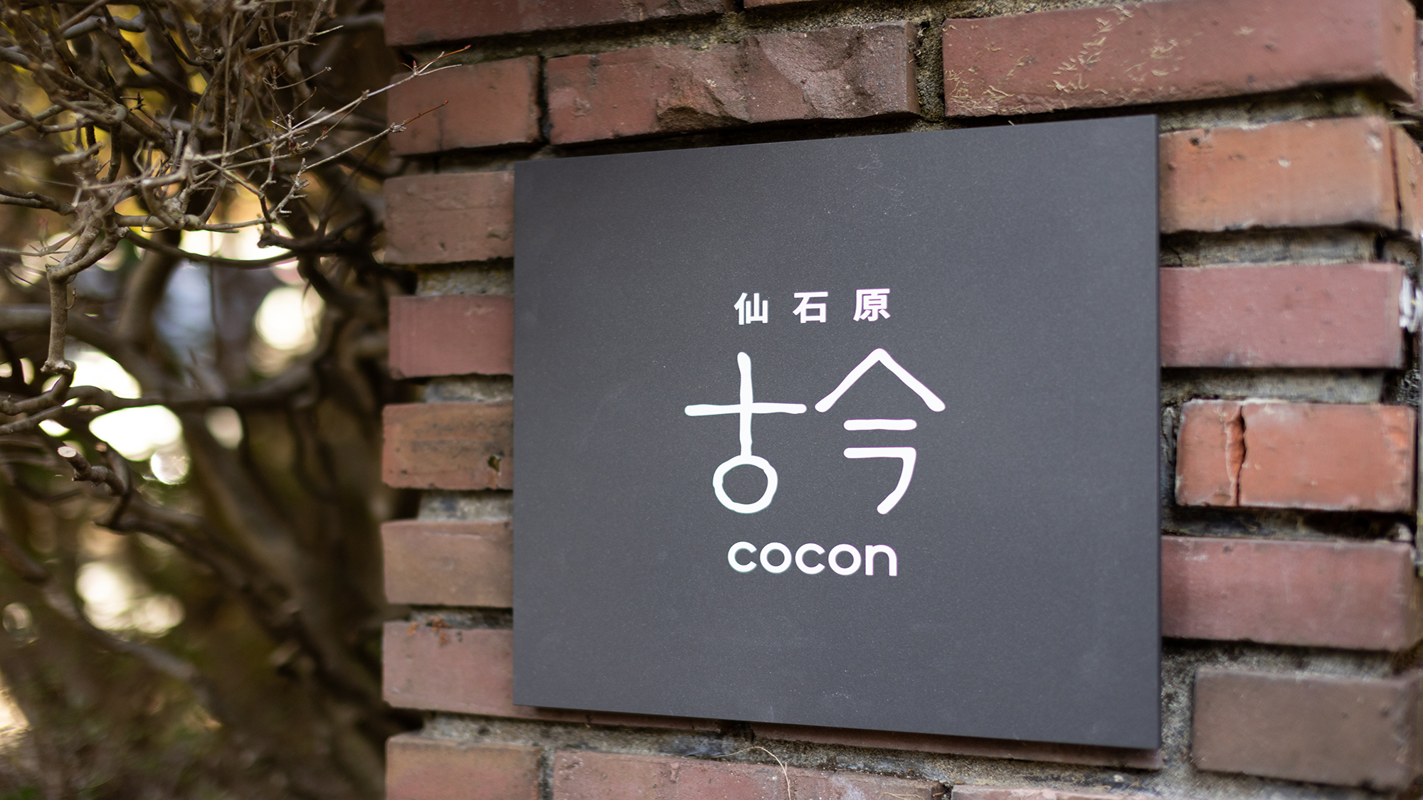 外観イメージ