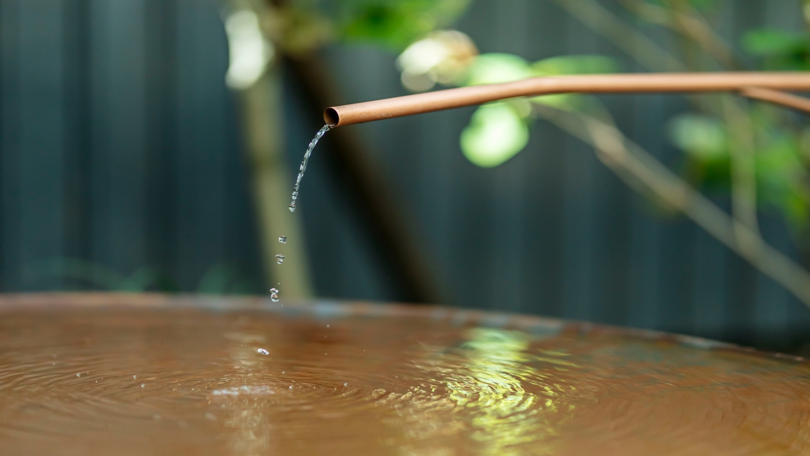 庭◆涼を感じる水盤