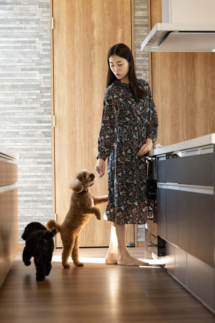 【素泊り】愛犬とのんびり（小型犬・中型犬にお勧め）約132平米のプライベートドックラン付