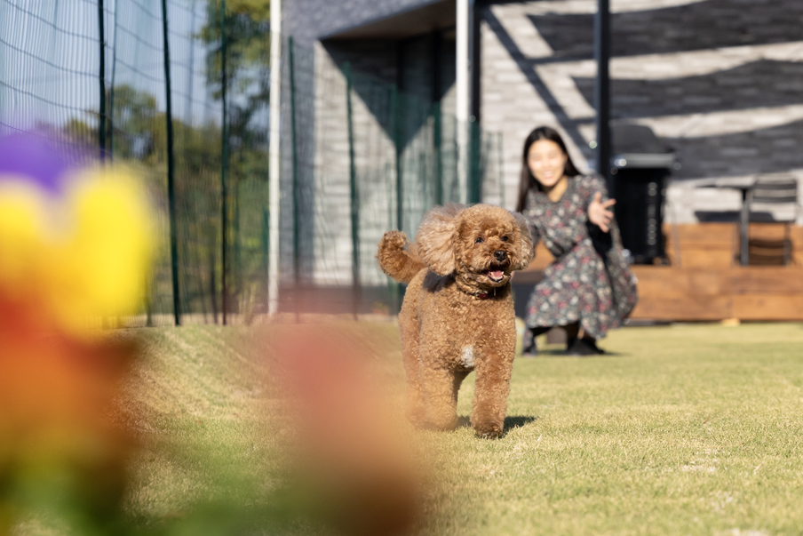 【素泊り】瀬戸内海を眺めながらのんびり〈小型犬におすすめ〉約85平米のプライベートドックラン付