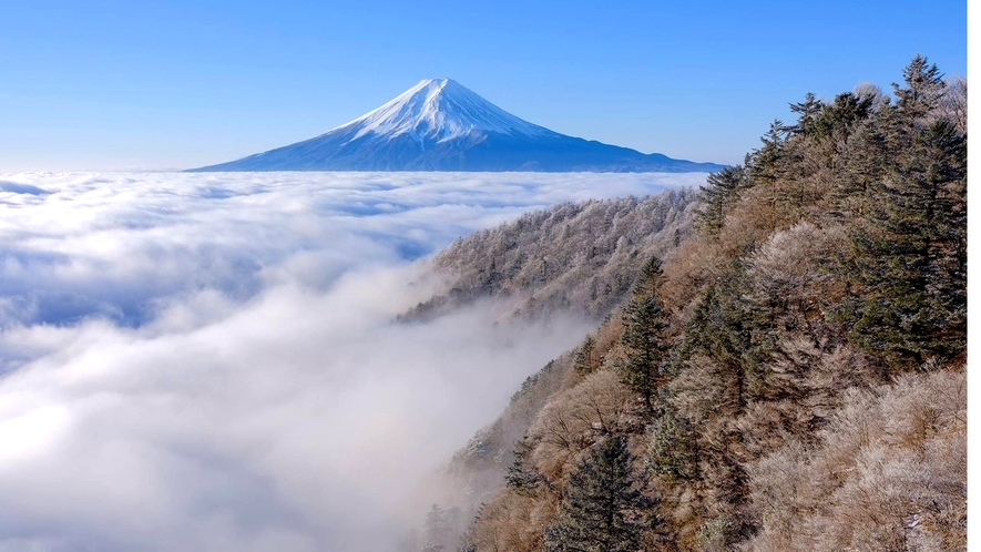 雲海と富士山 
