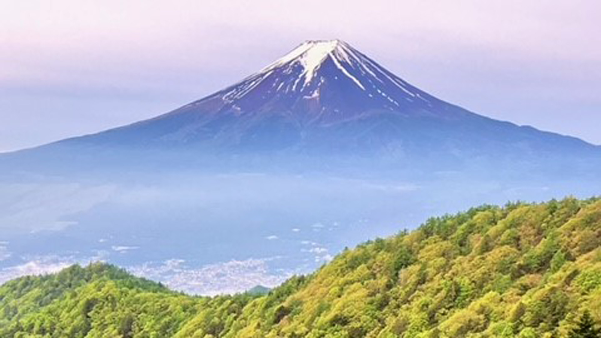 新緑と富士山