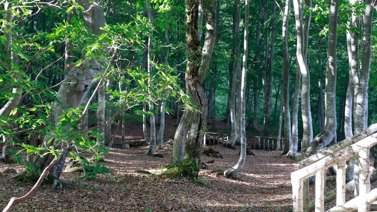 【夕食付き／朝食なし】早朝出発も安心｜ごちそうと温泉で整う宿／駐車場無料