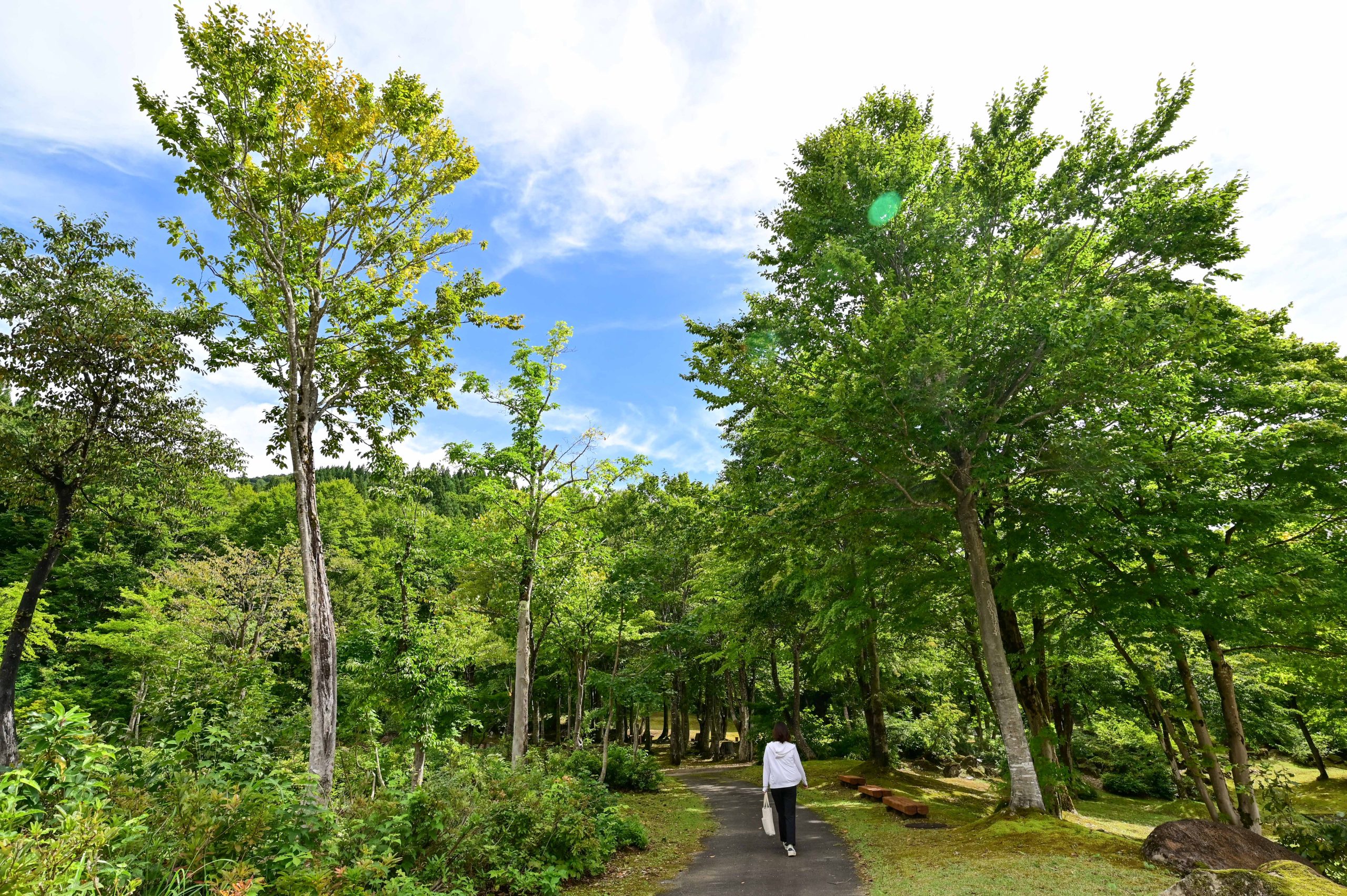 山あそびにアクセスしやすい立地（季節により入山できない時があります。）