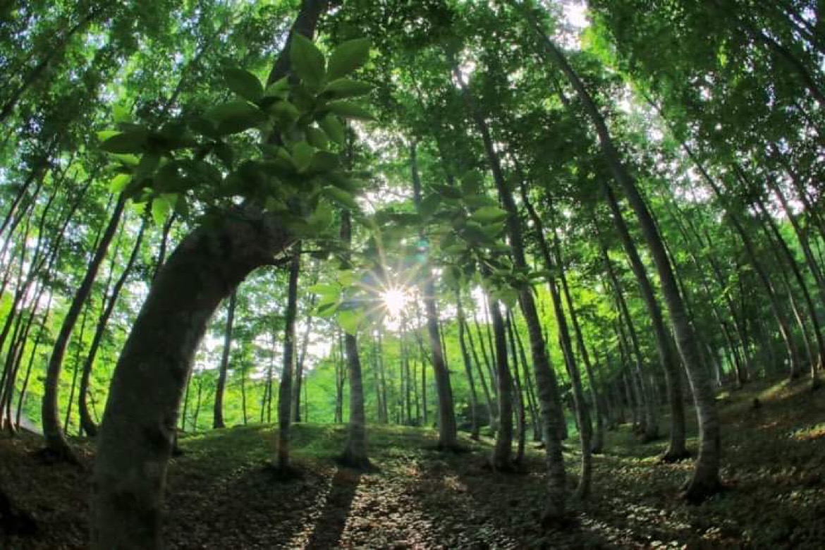 ふだんの喧騒から少し離れて、自然のリズムに体をゆだねる