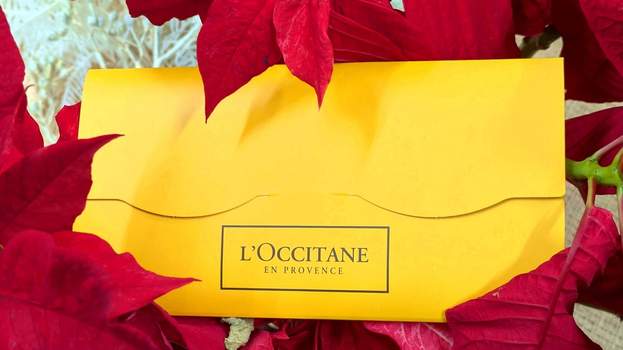 【バレンタイン＆ホワイトデー×美食オールインクルーシブ】海と美食に包まれる　心に残る特別な日ステイ