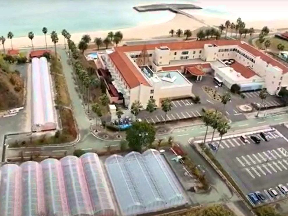 【マリッサリゾート】自社いちご農園 マリッサベリーファーム（1/18～5/5）