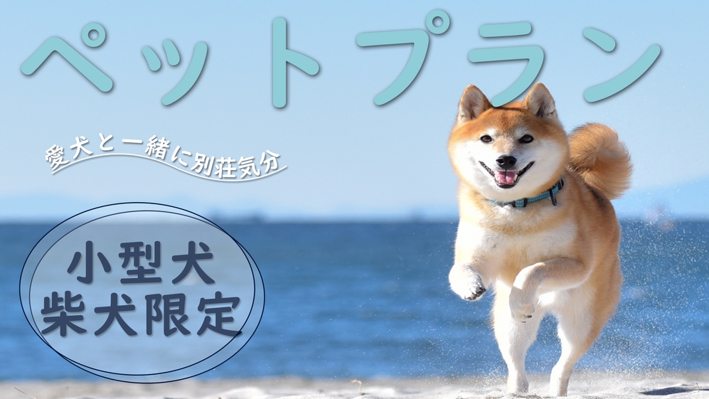 一棟貸切 *ペットと寛ぐ素泊まり◆愛犬と一緒に別荘気分を満喫♪海まで30秒※ペット宿泊料は現地別途※