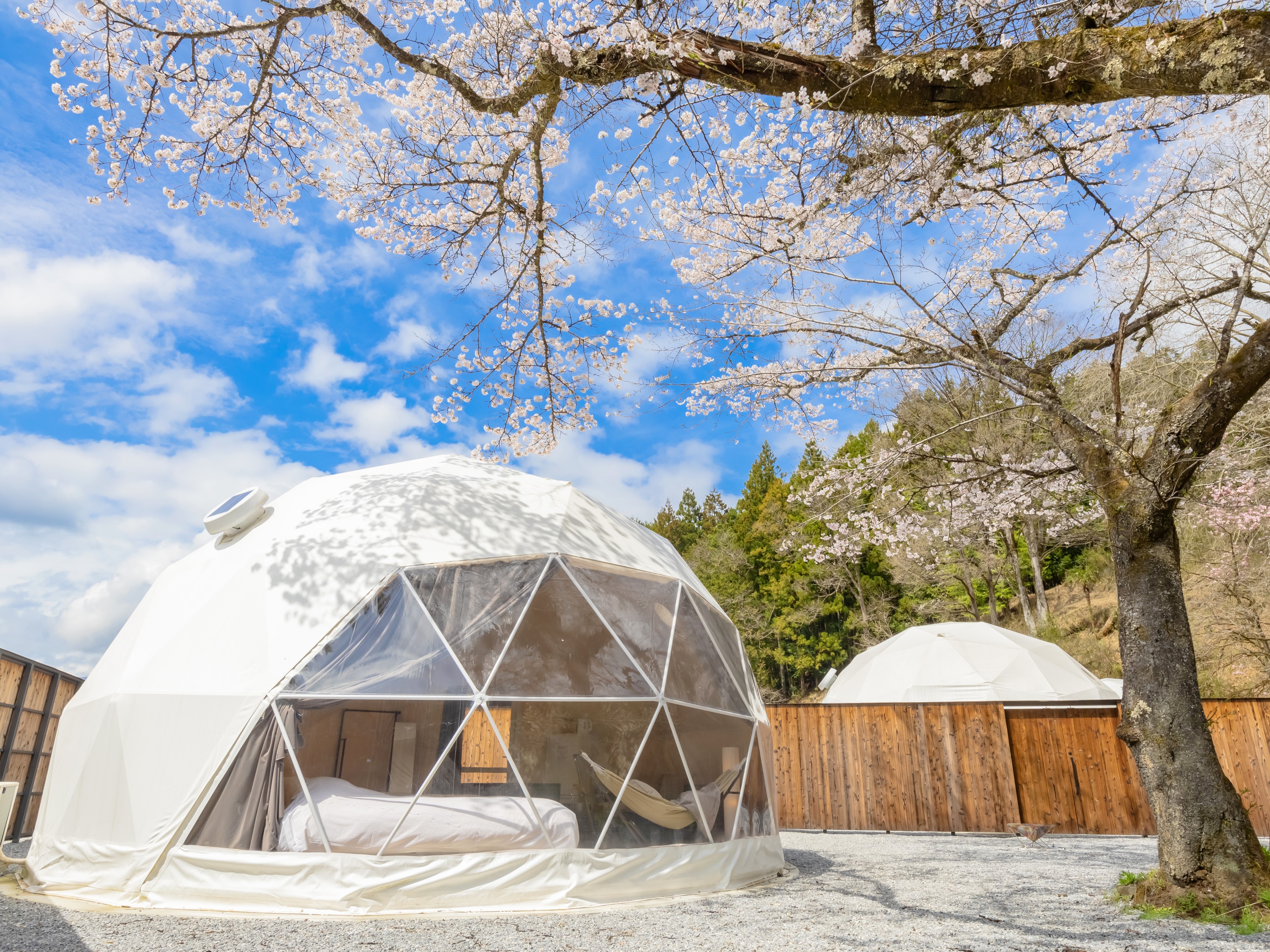ご宿泊のドームテント