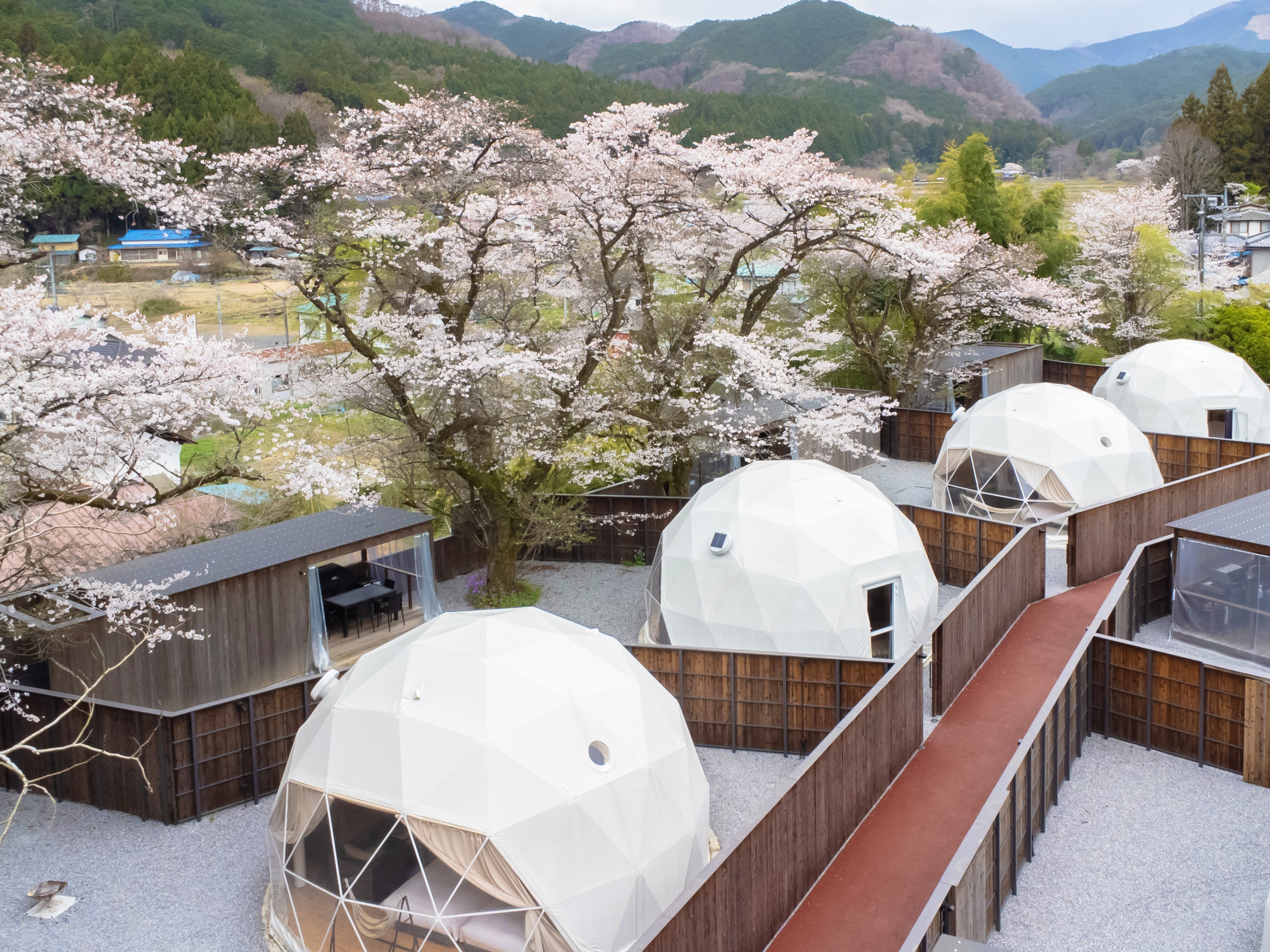 テントの外観です。