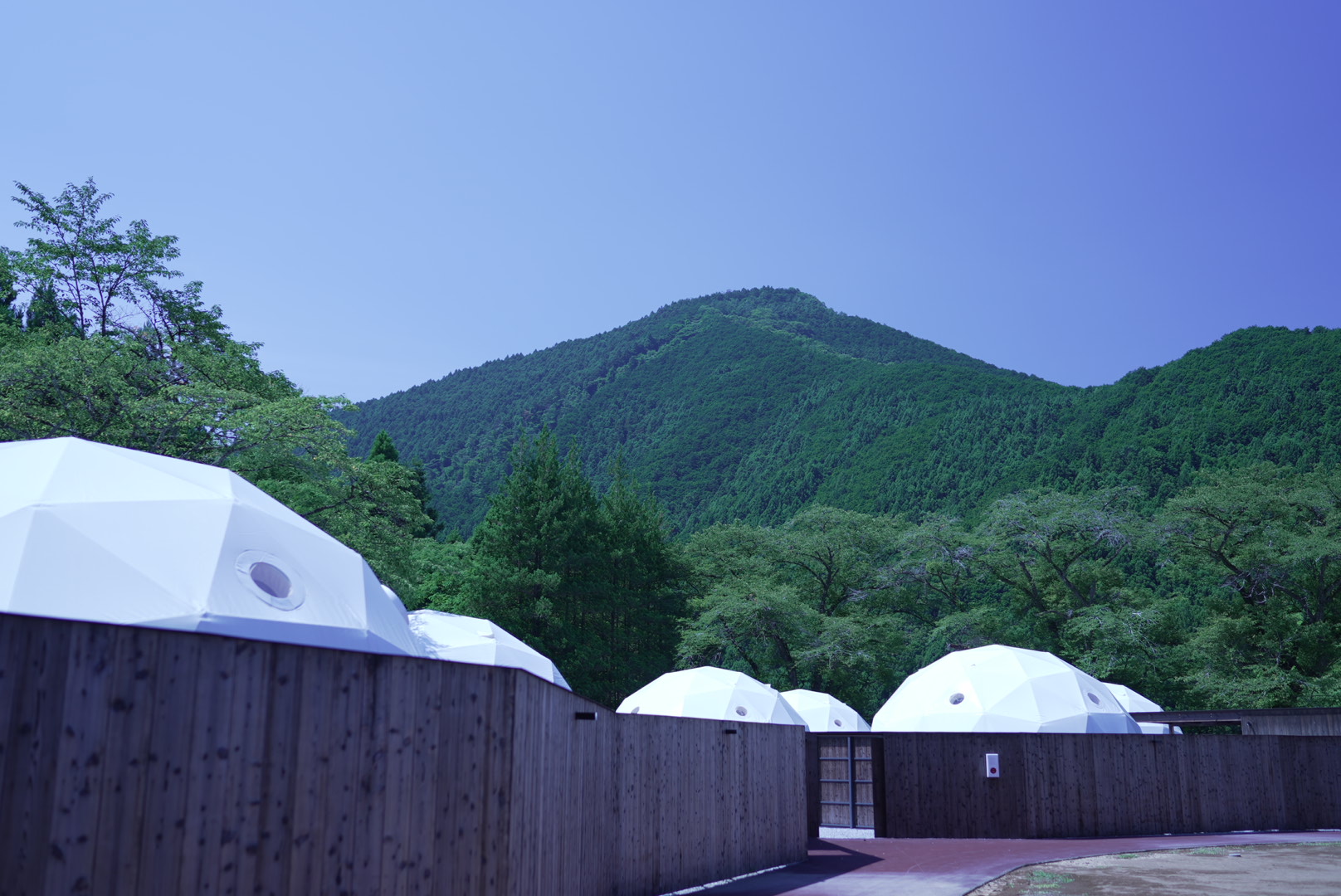 テントサイト（敷地）