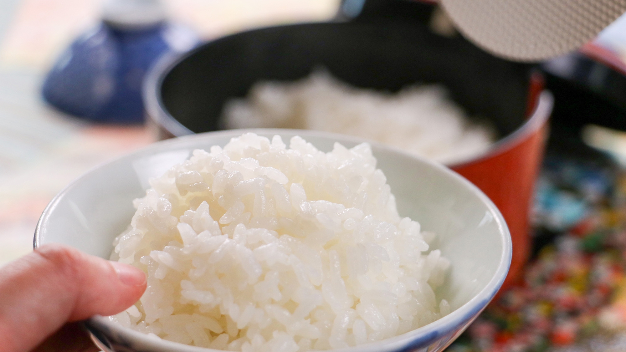 【5％OFF】【楽天スーパーSALE】【２食付】当館スタンダード☆南魚沼の家庭的な「おふくろ御膳」