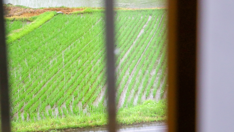 【春SALE】【２食付】当館スタンダード☆南魚沼の家庭的な「おふくろ御膳」