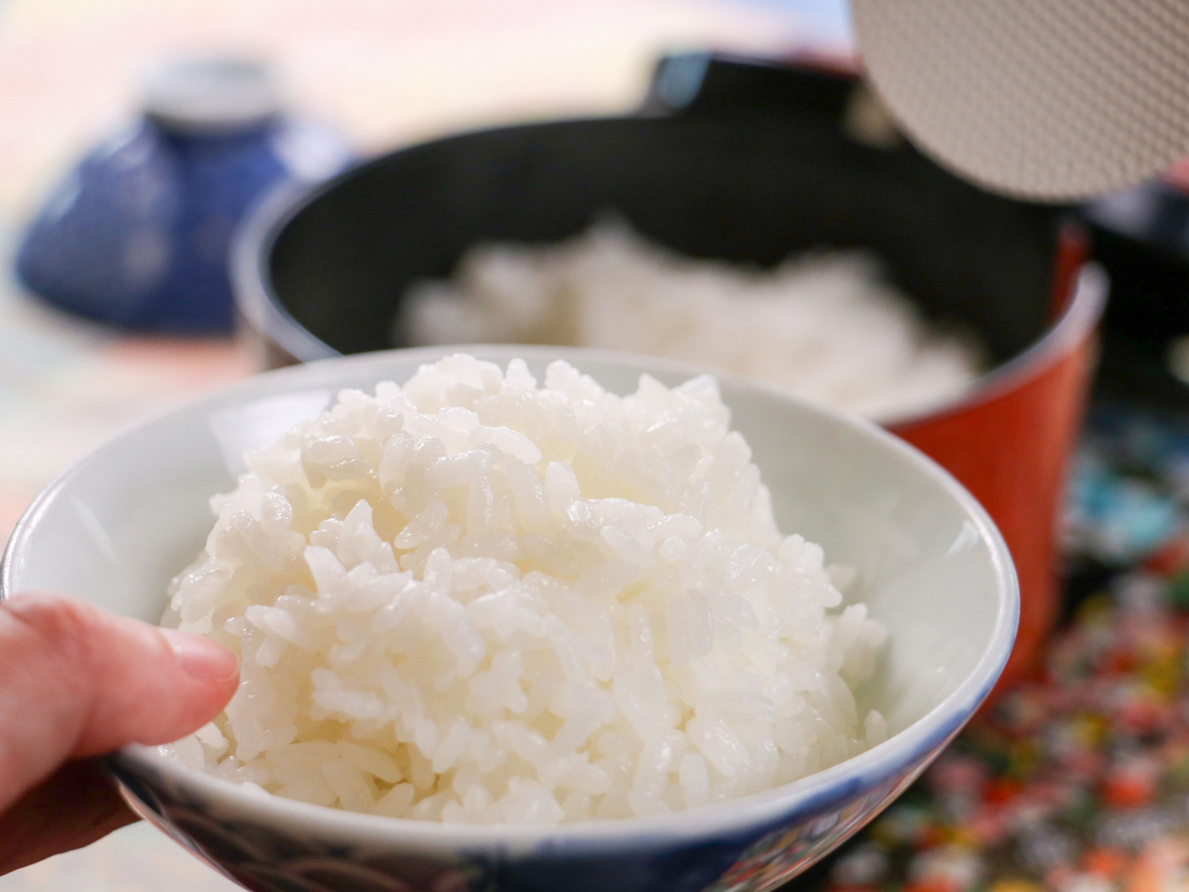 #ビジネス夕食　お仕事帰りのお客様に向けた、ほっとする味わいの夕食をご提供します