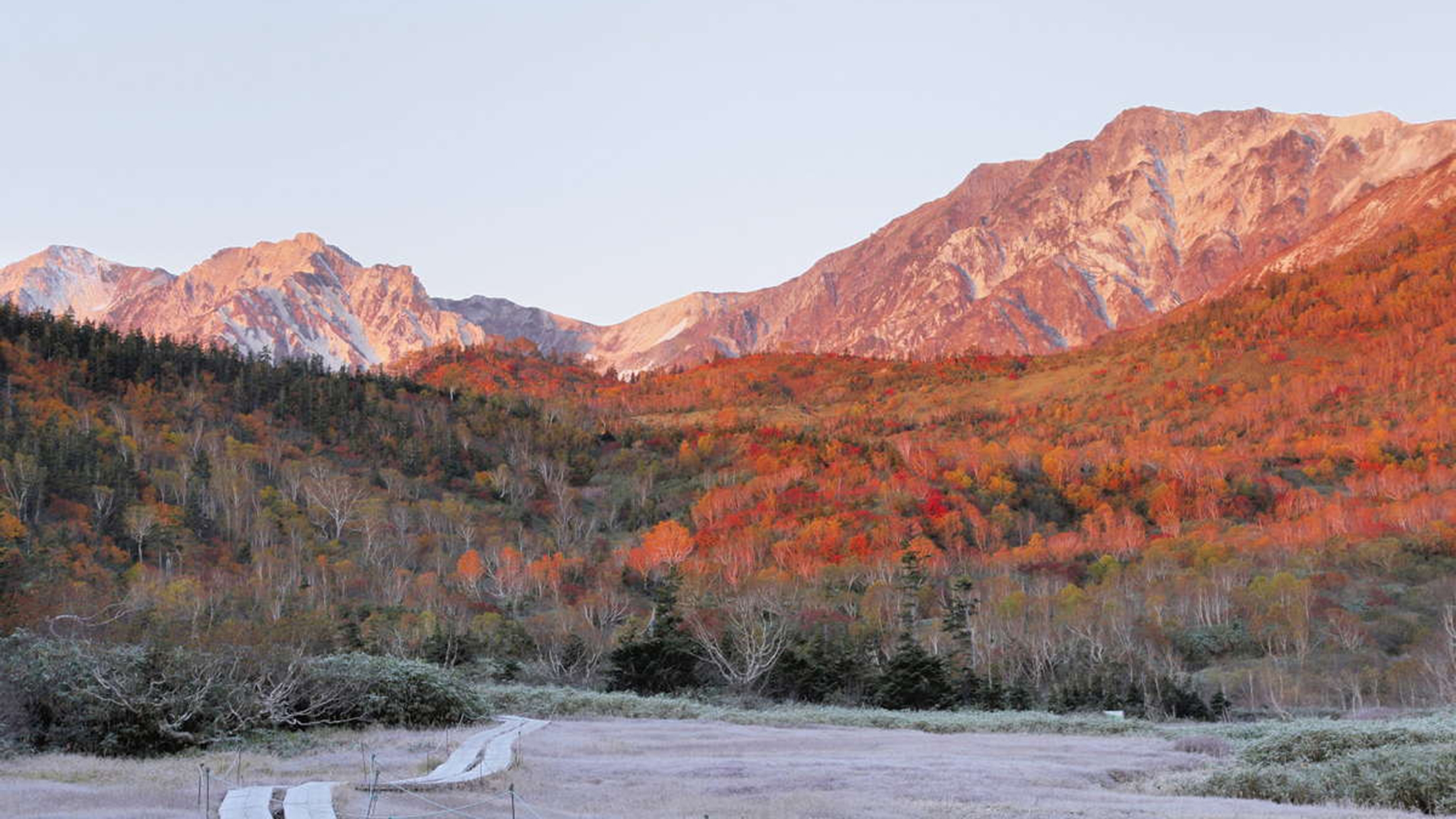 【秋】紅葉が終わっても美しい栂池自然園。10月末までの営業。（割引券有・ゴンドラまで車20分）