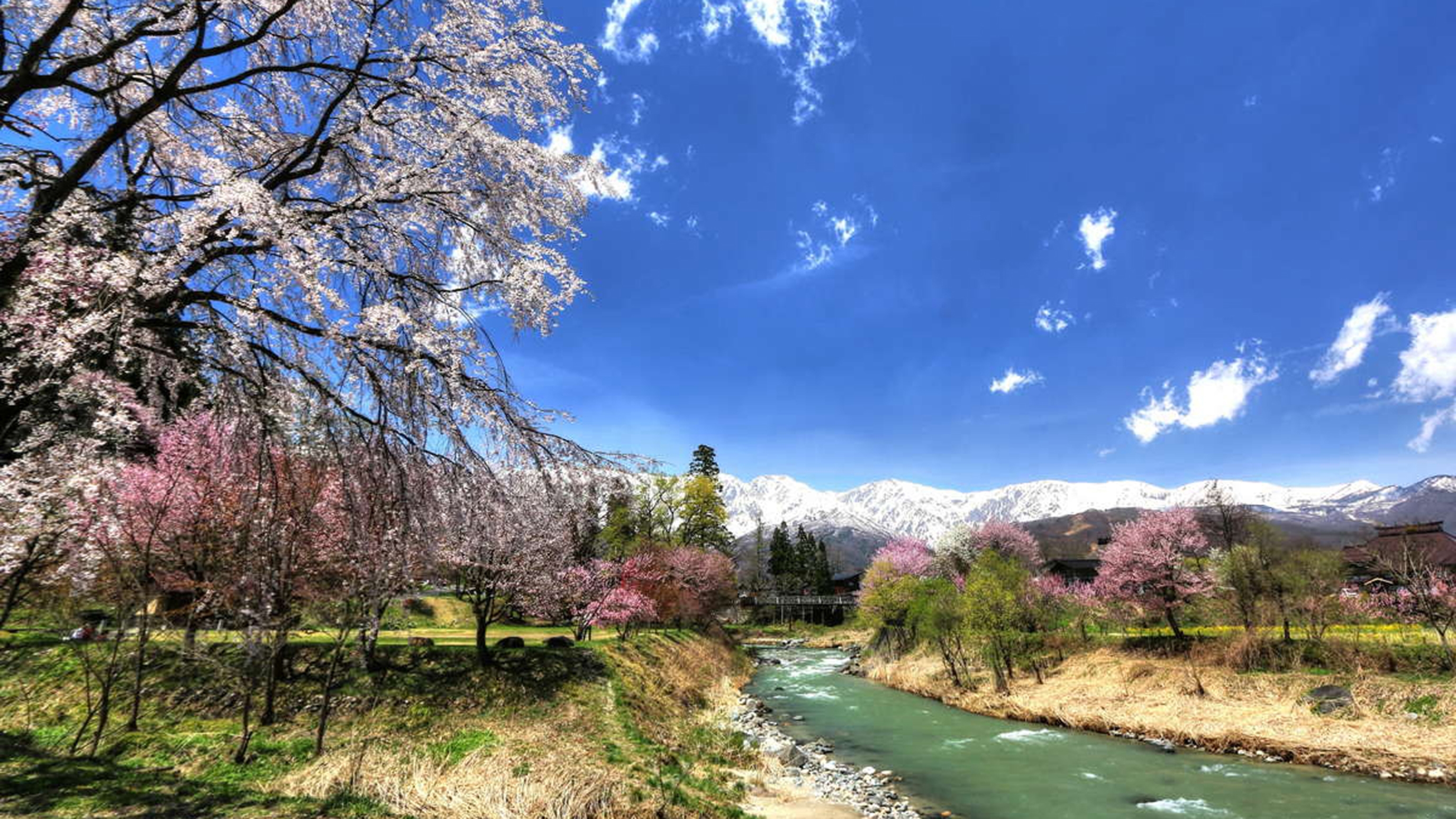【春】最近有名になってきた「大出の吊橋」車3分、歩なら20分。桜も〇ですが、晴れたら山の景色が◎◎