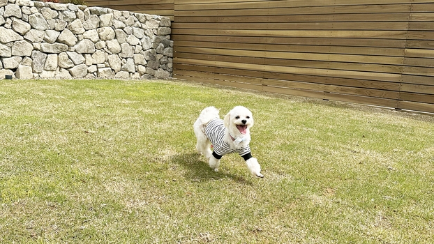 【ペット宿泊有】【夕食付】厳選食材を使用したモリスのBBQ・海鮮付きプラン