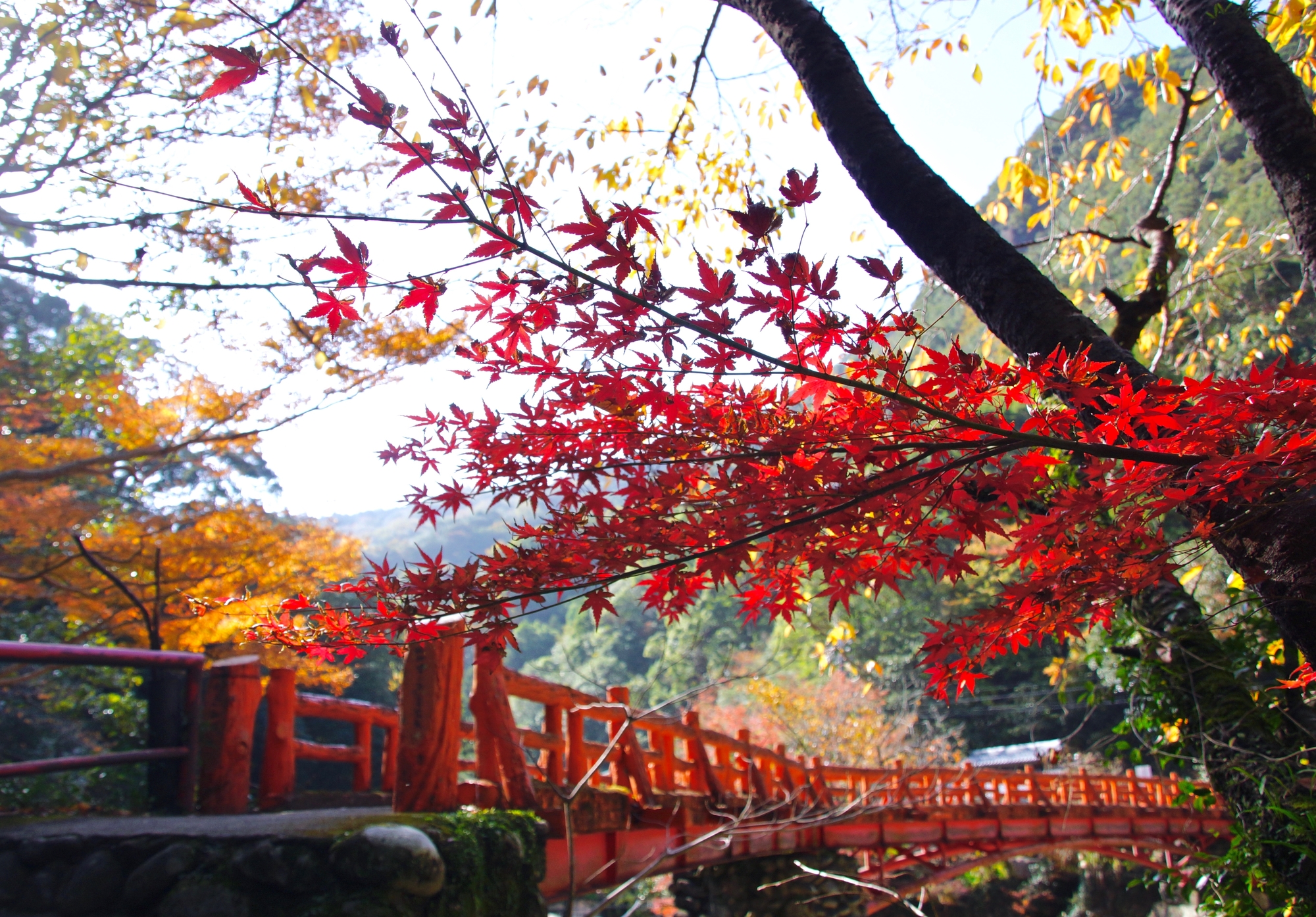 奇絶峡：当館から車で約30分。11月中旬から下旬にかけて紅葉が見ごろを迎える。