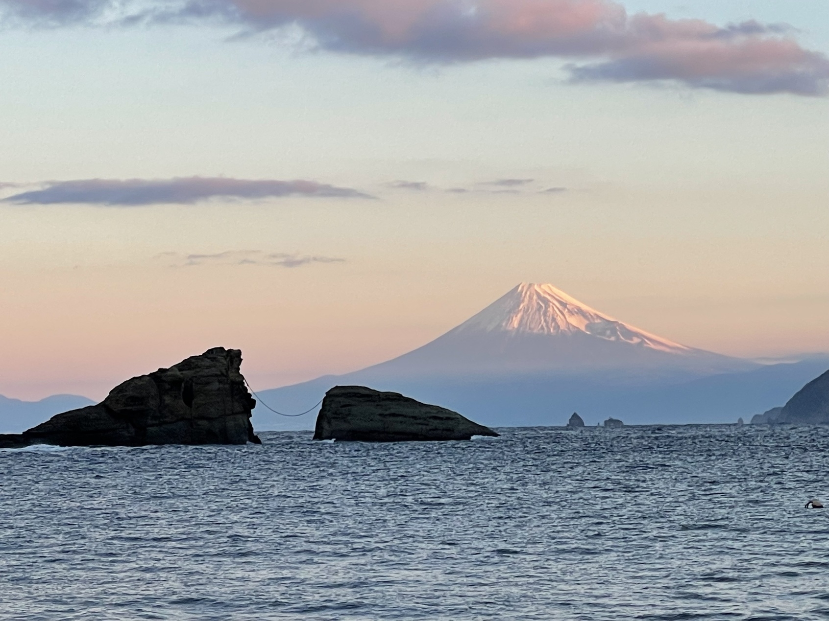 【一人旅スタンダードプラン】美味しい海鮮、温泉、趣味満喫プラン♪