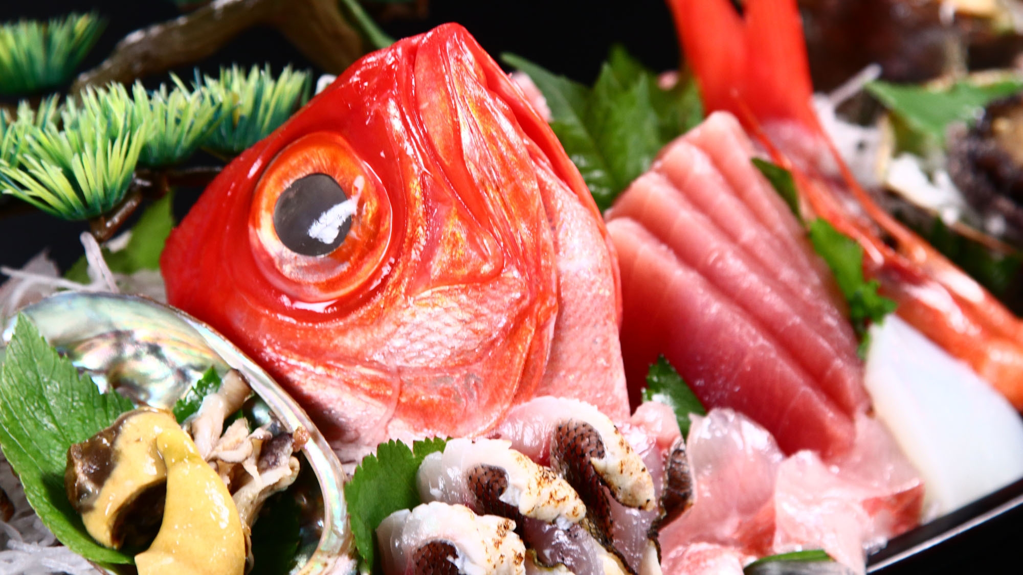 【 舟盛り×鮑踊り焼き 】海の恵みを堪能◆磯の香コース