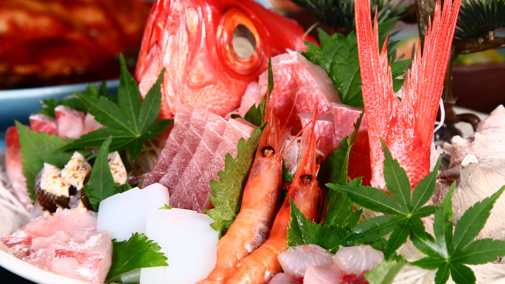 スタンダード◇旬魚の皿盛り*