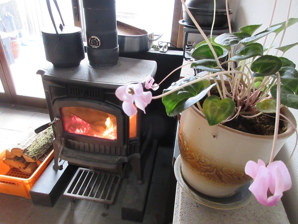 素泊まり / 食事なし / 和ベッドツイン・トリプル・控室付き