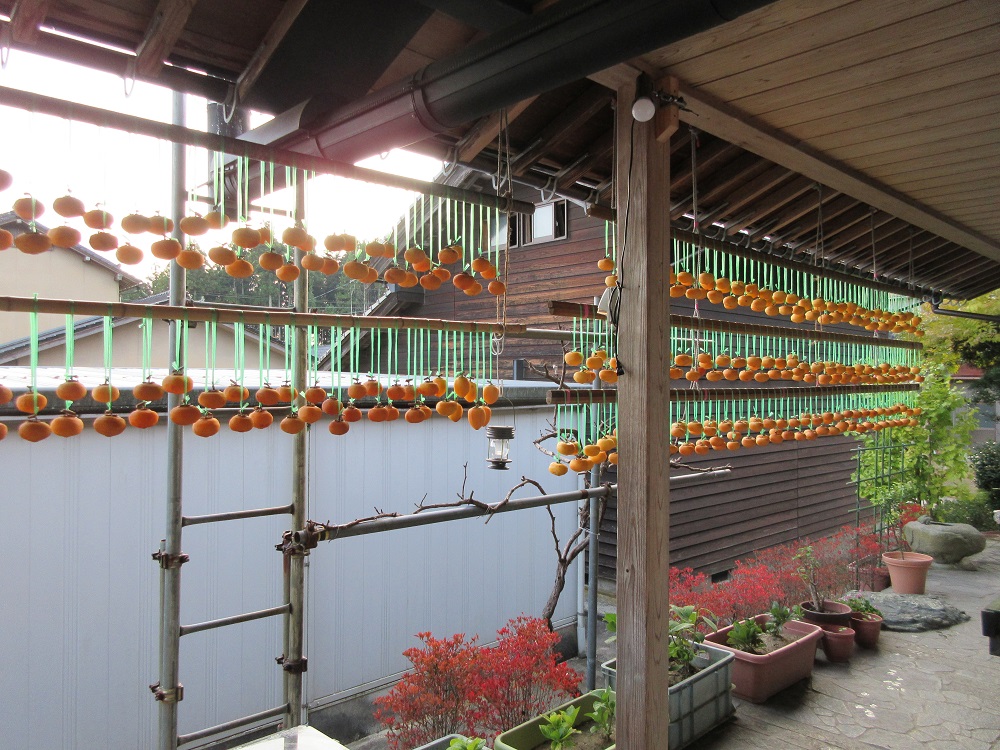 秋の玄関アプローチ