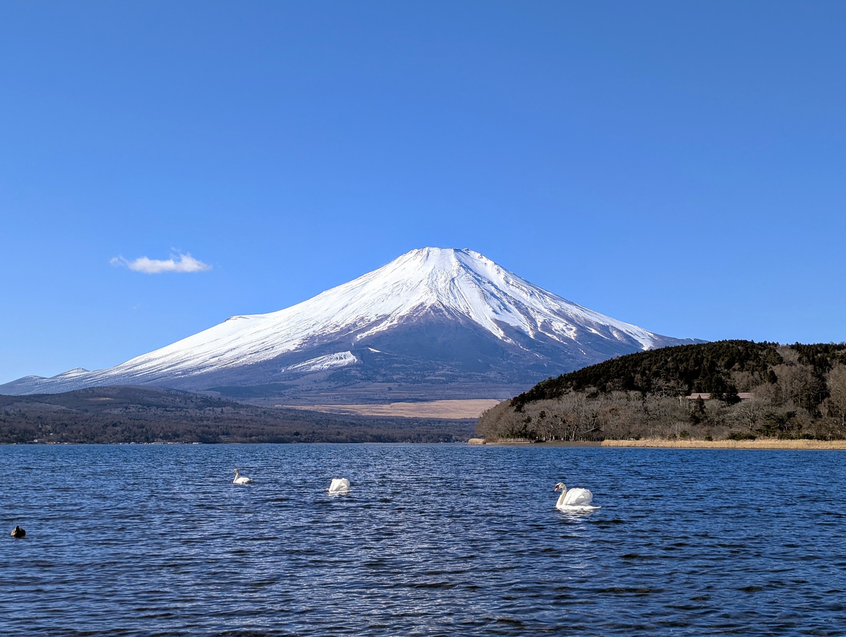 写真1