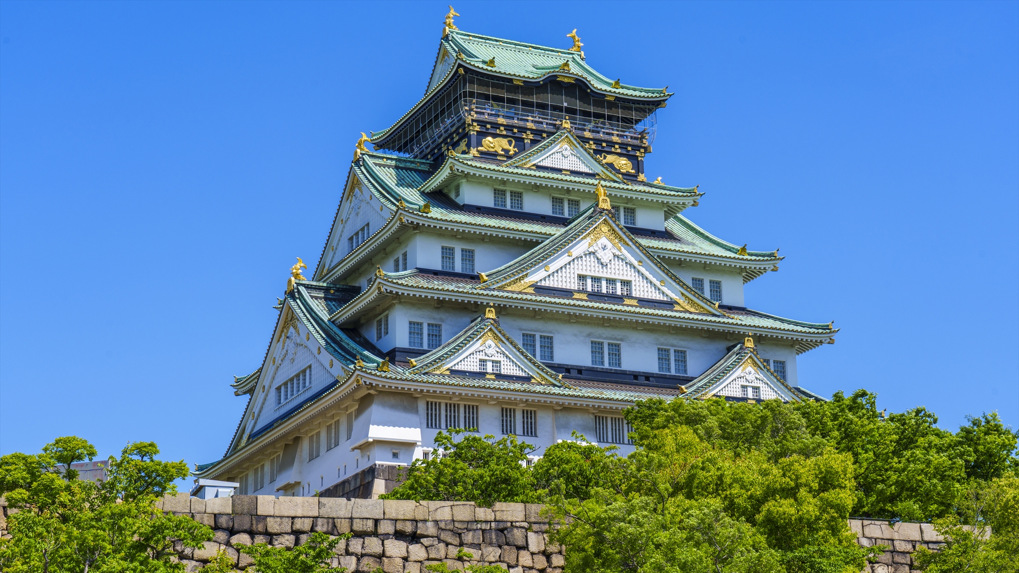 ◆大阪城天守閣　｜豊臣秀吉により築かれ、博物館として歴史的な展示や資料も楽しむことができます。