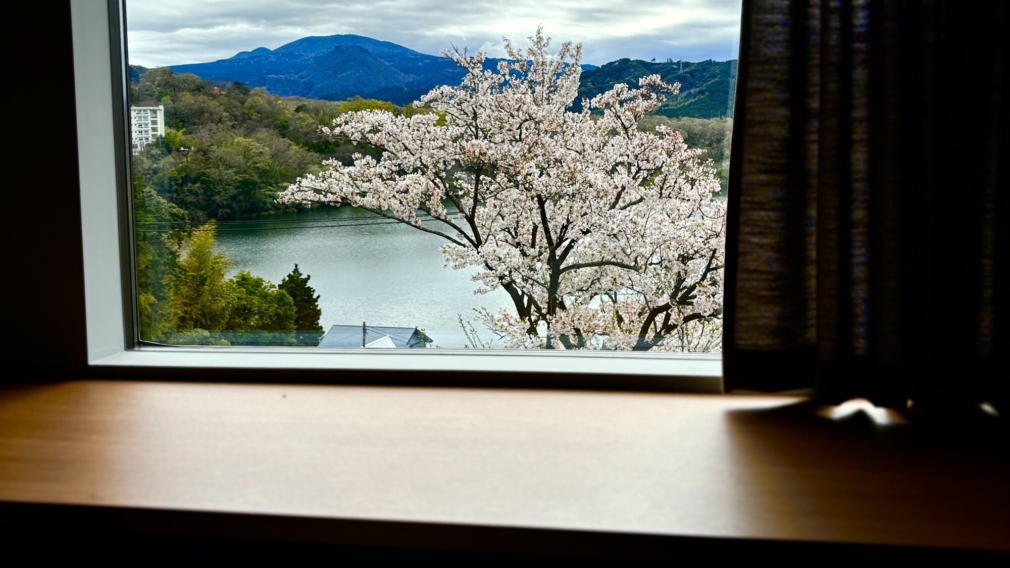 一碧湖と桜を楽しむ春。