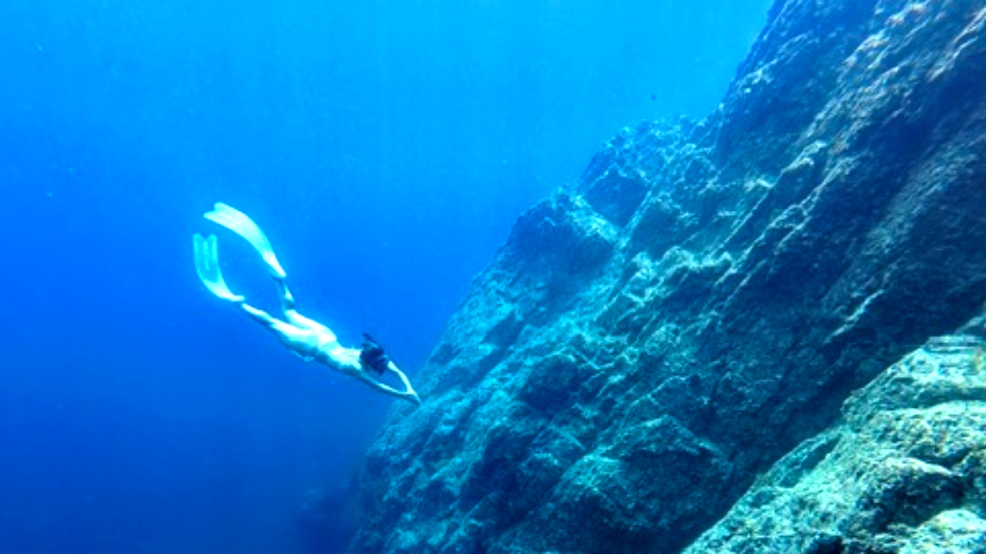 *プラン/高画質カメラで撮影した水中写真・動画を無料プレゼント♪旅の思い出のお土産に