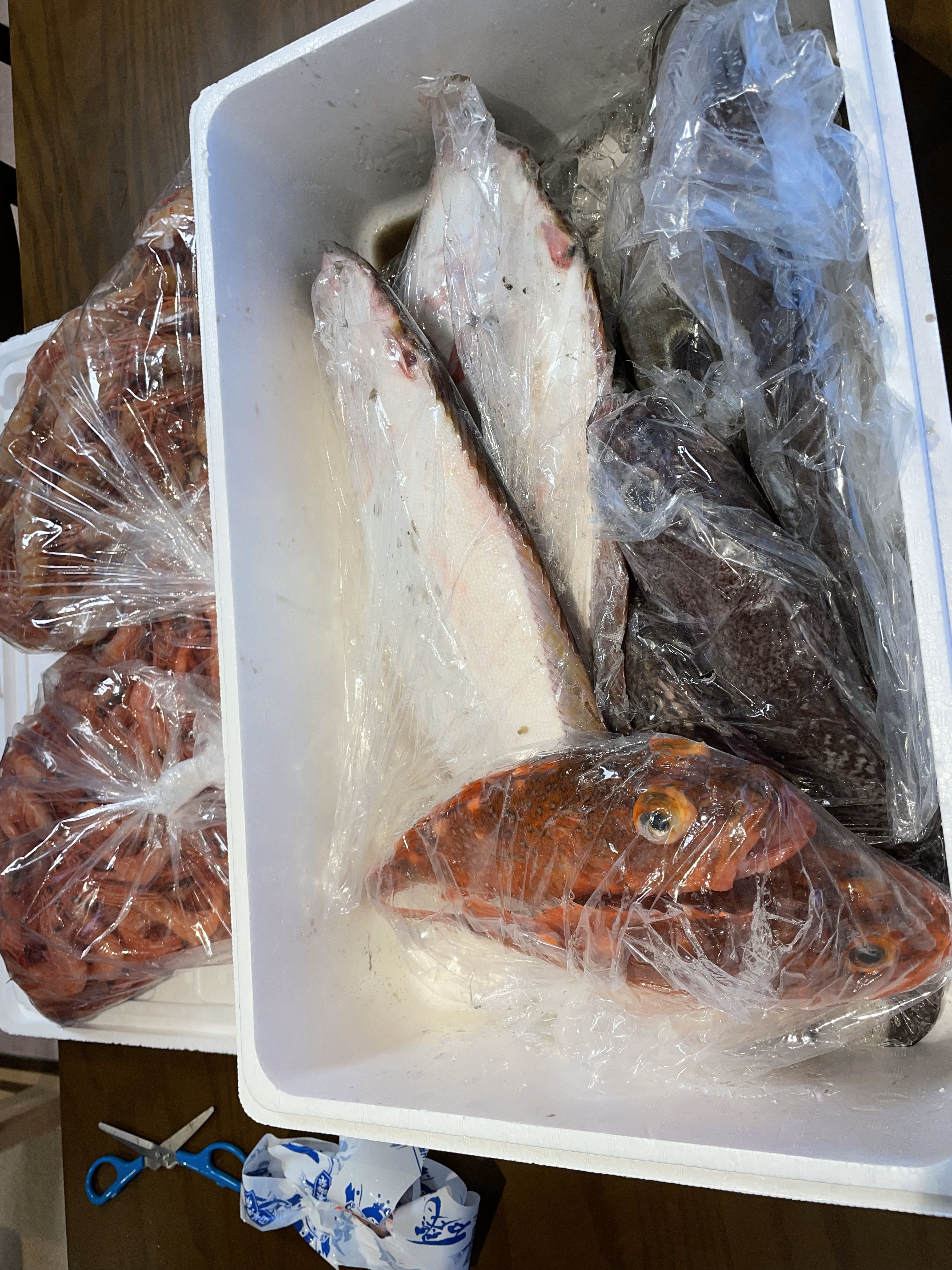 新潟能生漁港鮮魚