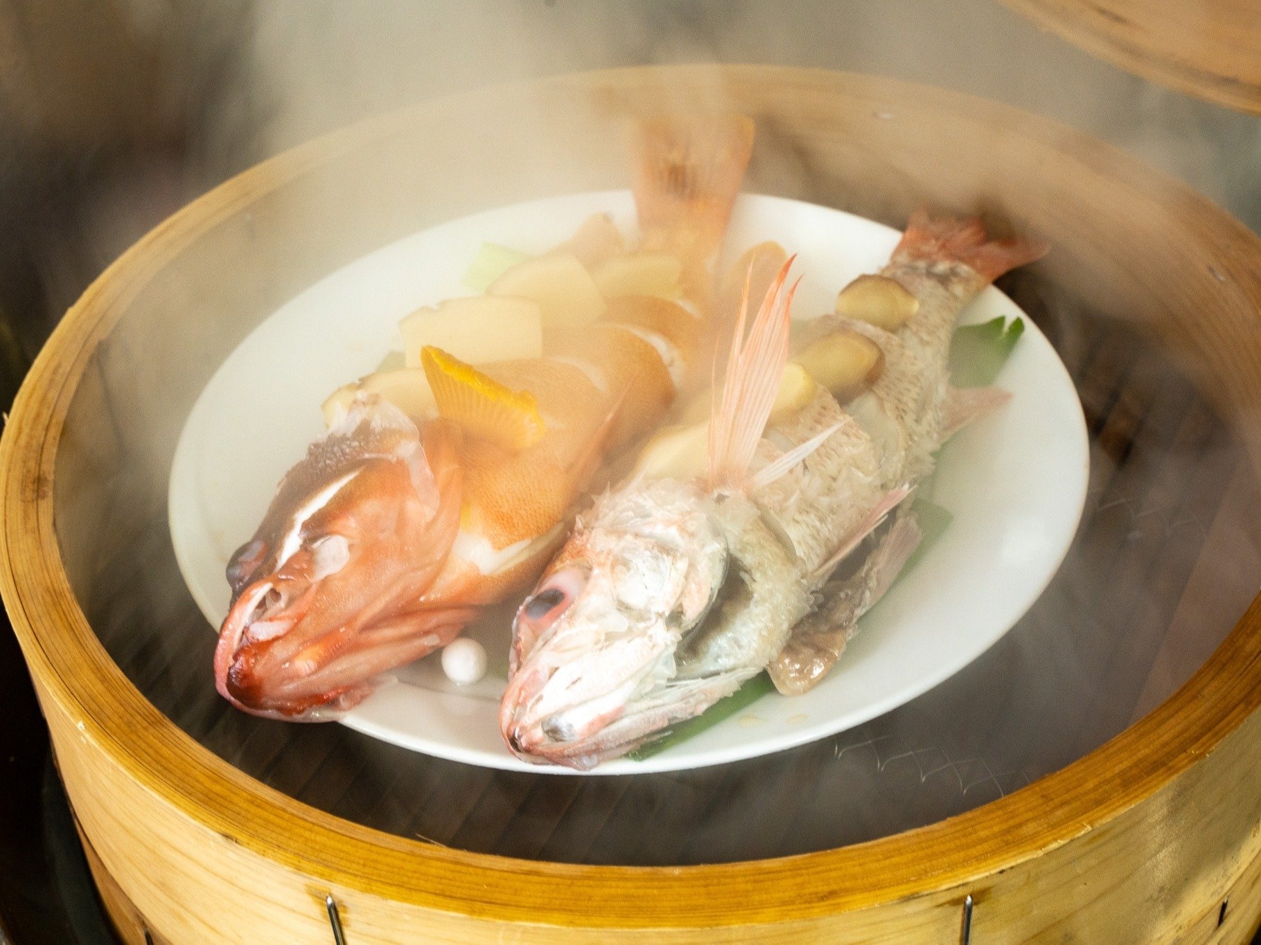 【五島の海鮮を使用した極上中華プラン】伊勢海老チリや、のどぐろを味わう極上の夕食