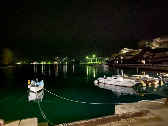 宿前の夜景　港