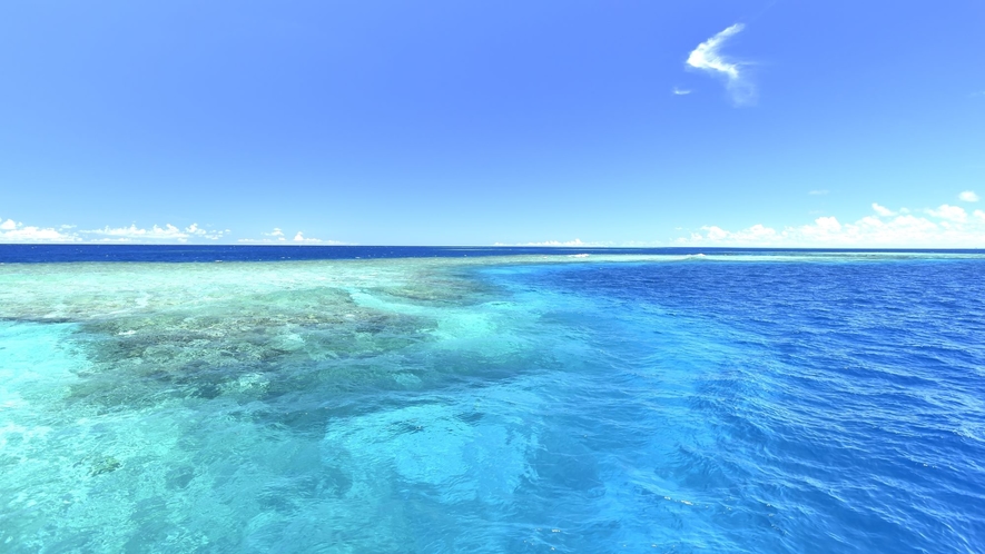 【八重干瀬ボートシュノーケル】100以上の珊瑚が綾なすそのさまは、言葉にできないほどの感動です