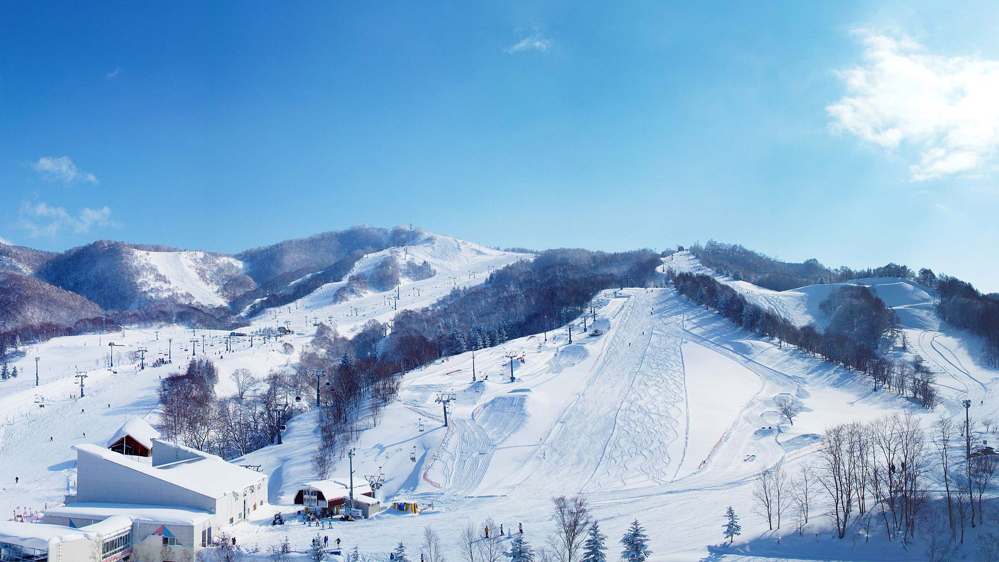 マウントレースイ スキーエリア