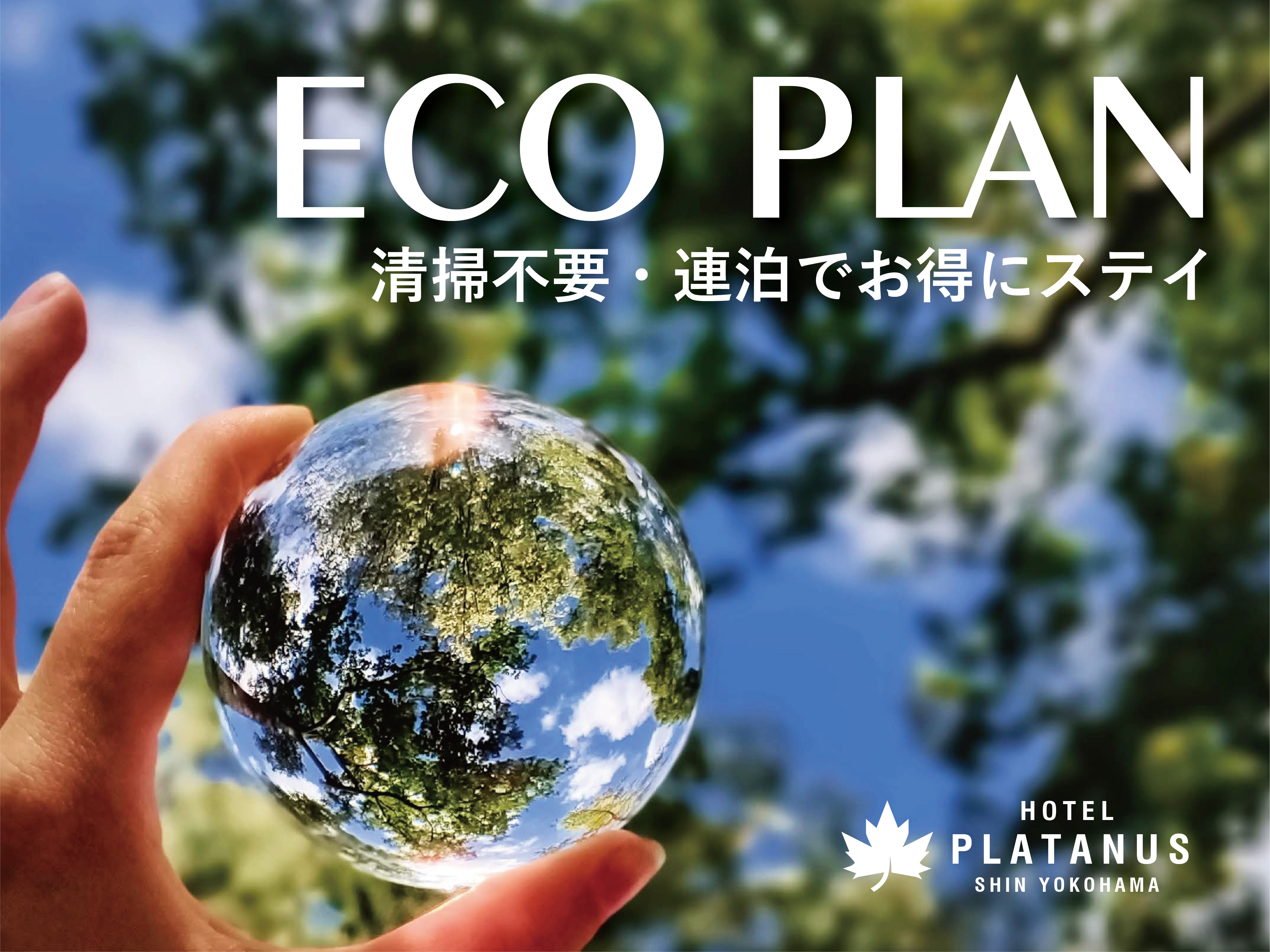 連泊ECOプラン